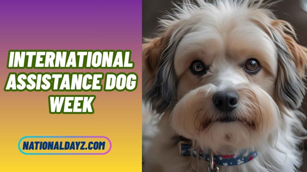 Fun Facts about International Assistance Dog Week