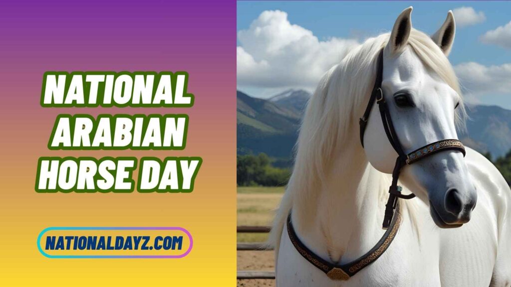 Fun Facts about National Arabian Horse Day