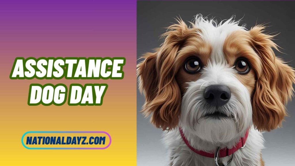 Quotes about Assistance Dogs