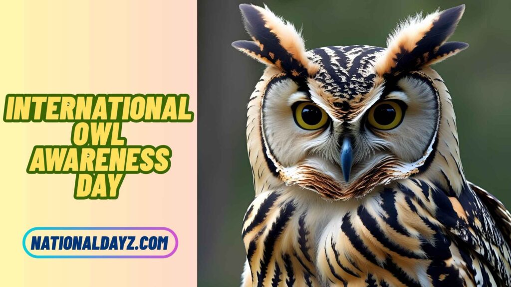 Quotes about International Owl Awareness Day