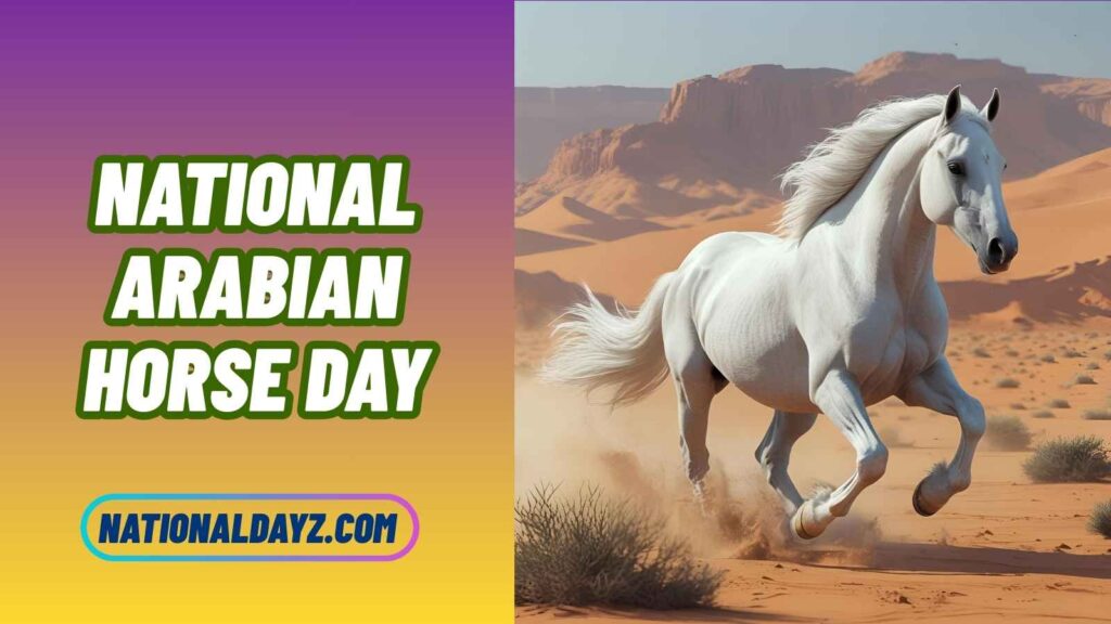 Quotes about National Arabian Horse Day