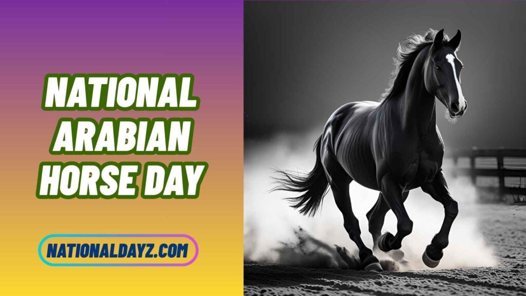 national arabian horse day